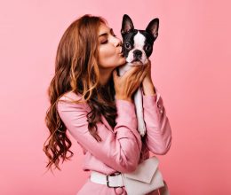 seguro para perros obligatorio